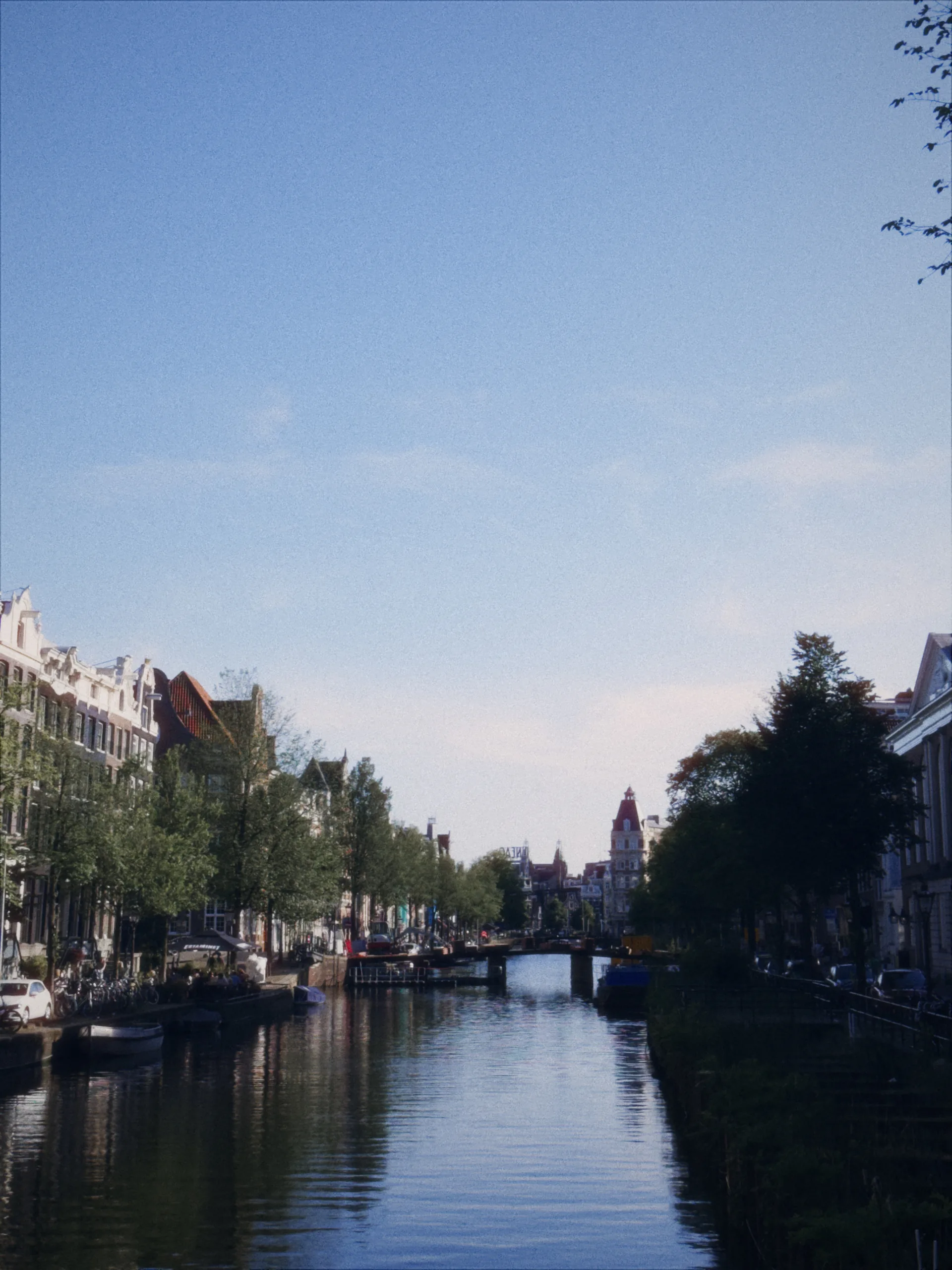 An Amsterdam canal framed by trees and narrow city buildings.