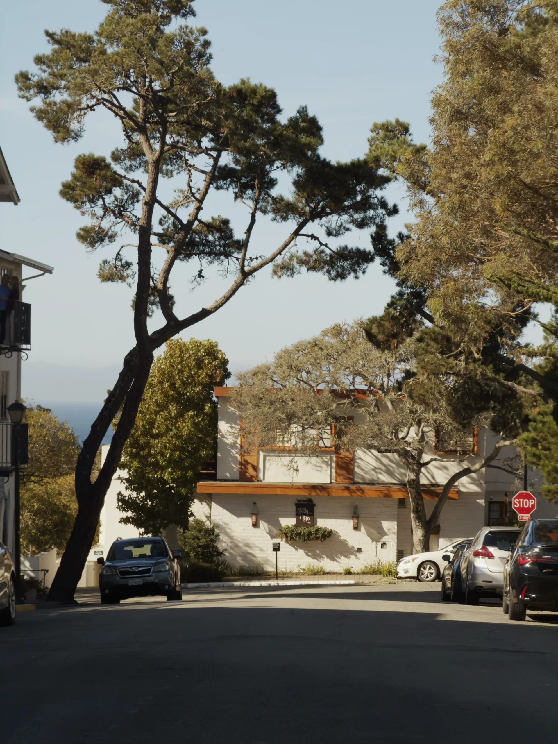 A quiet tree-lined coastal street in Carmel Highlands.
