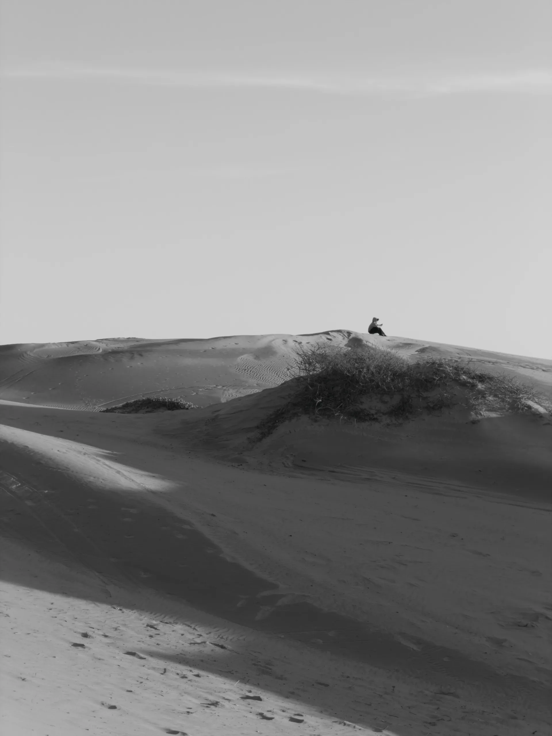 A black and white dune ridge with a tiny figure crossing it.
