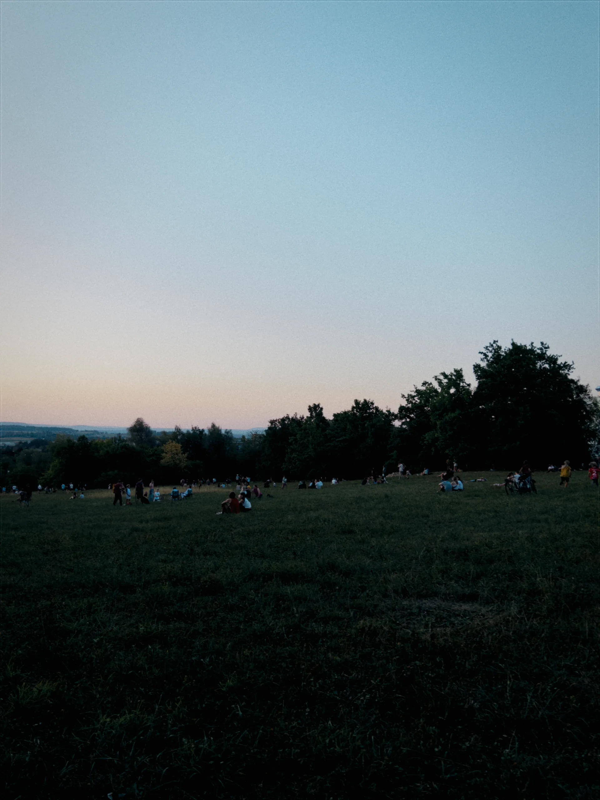 People scattered across a wide meadow at dusk, watching the sky.