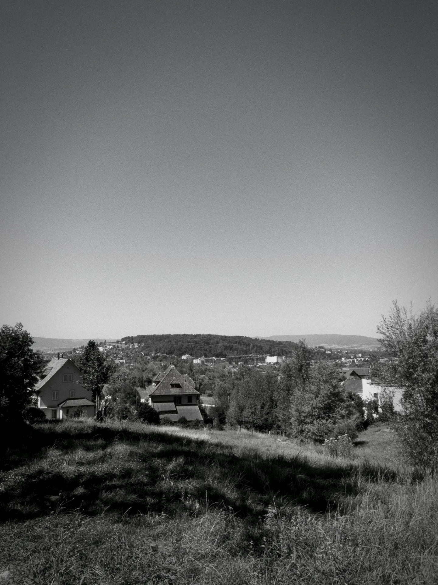 A hillside above a town in Switzerland, rendered with the Ansel Vibe — film emulation on.