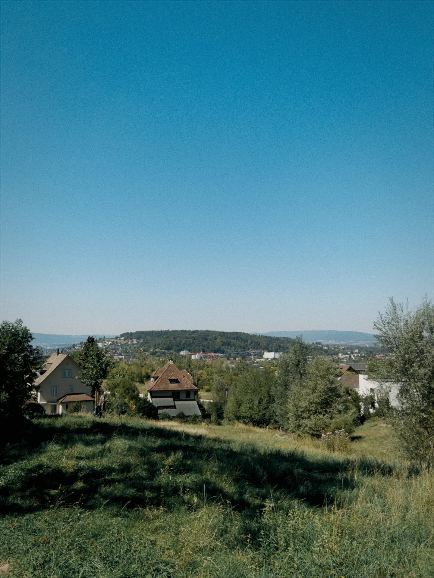 A hillside above a town in Switzerland, rendered with the Fuji Vibe — film emulation on.