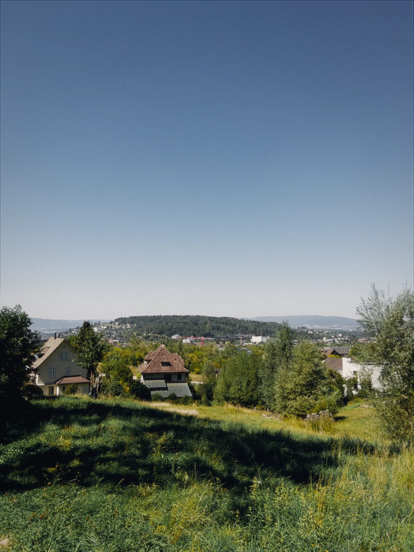 A hillside above a town in Switzerland, rendered with the Kodiak Vibe — film emulation on.