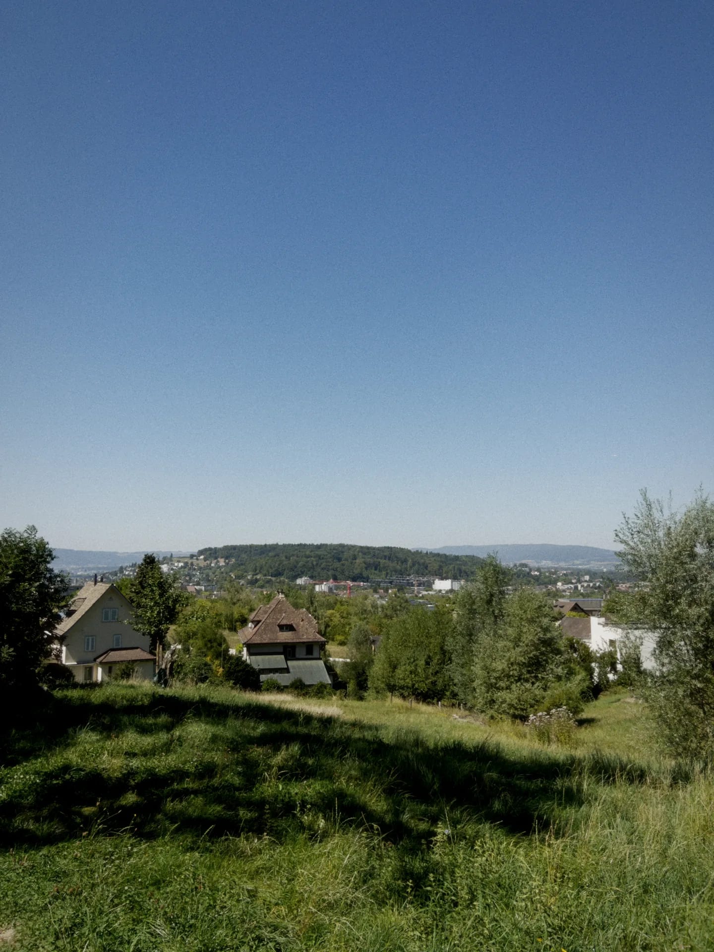 A hillside above a town in Switzerland, rendered with the Natural Vibe — film emulation on.