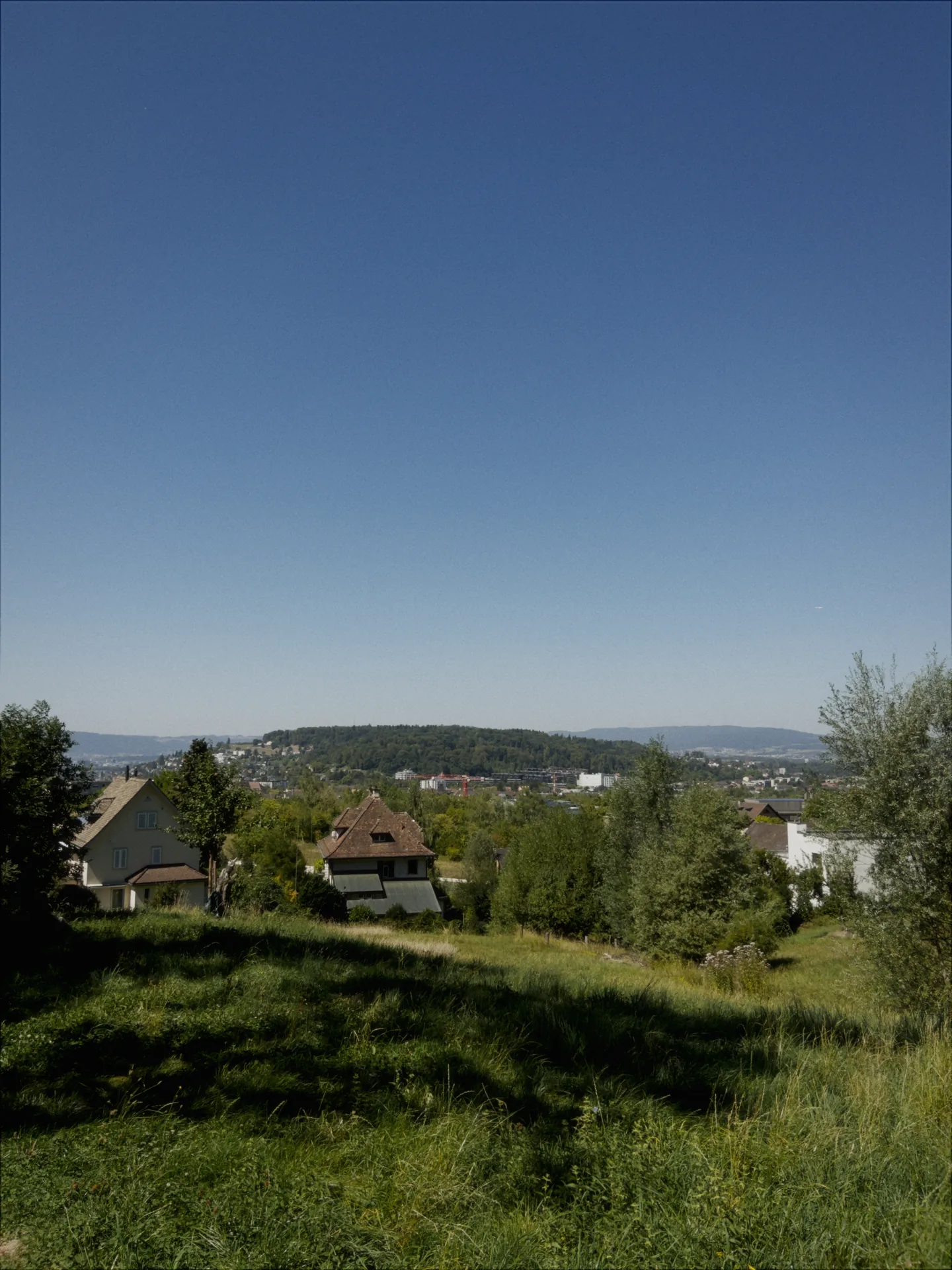 A hillside above a town in Switzerland, rendered with the Olympic Vibe — film emulation on.