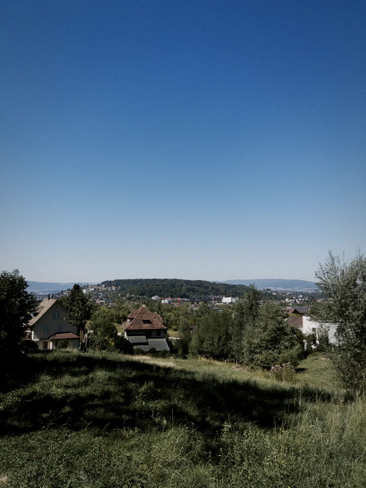 A hillside above a town in Switzerland, rendered with the Sequoia Vibe — film emulation on.