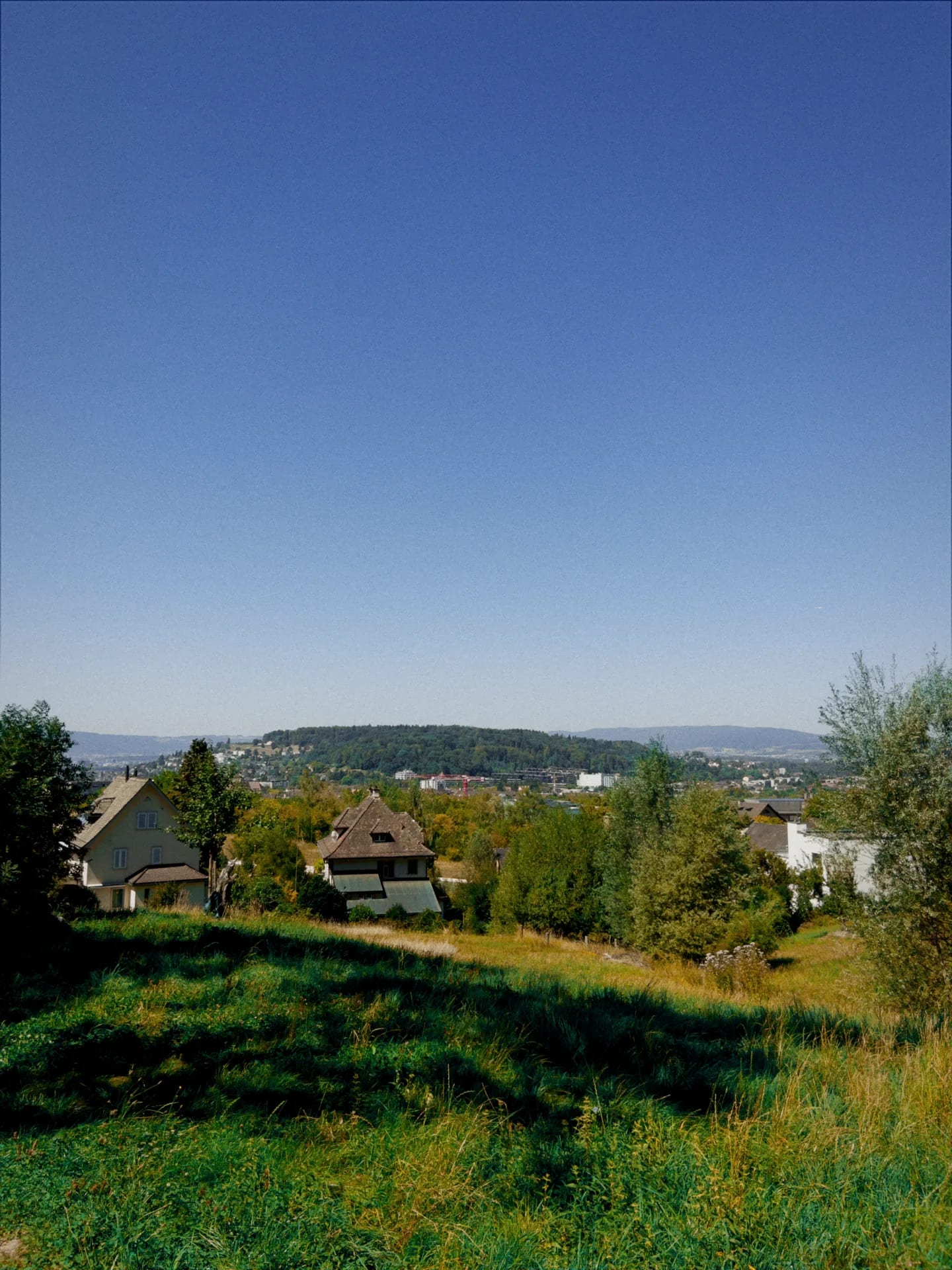 A hillside above a town in Switzerland, rendered with the Victoria Vibe — film emulation on.