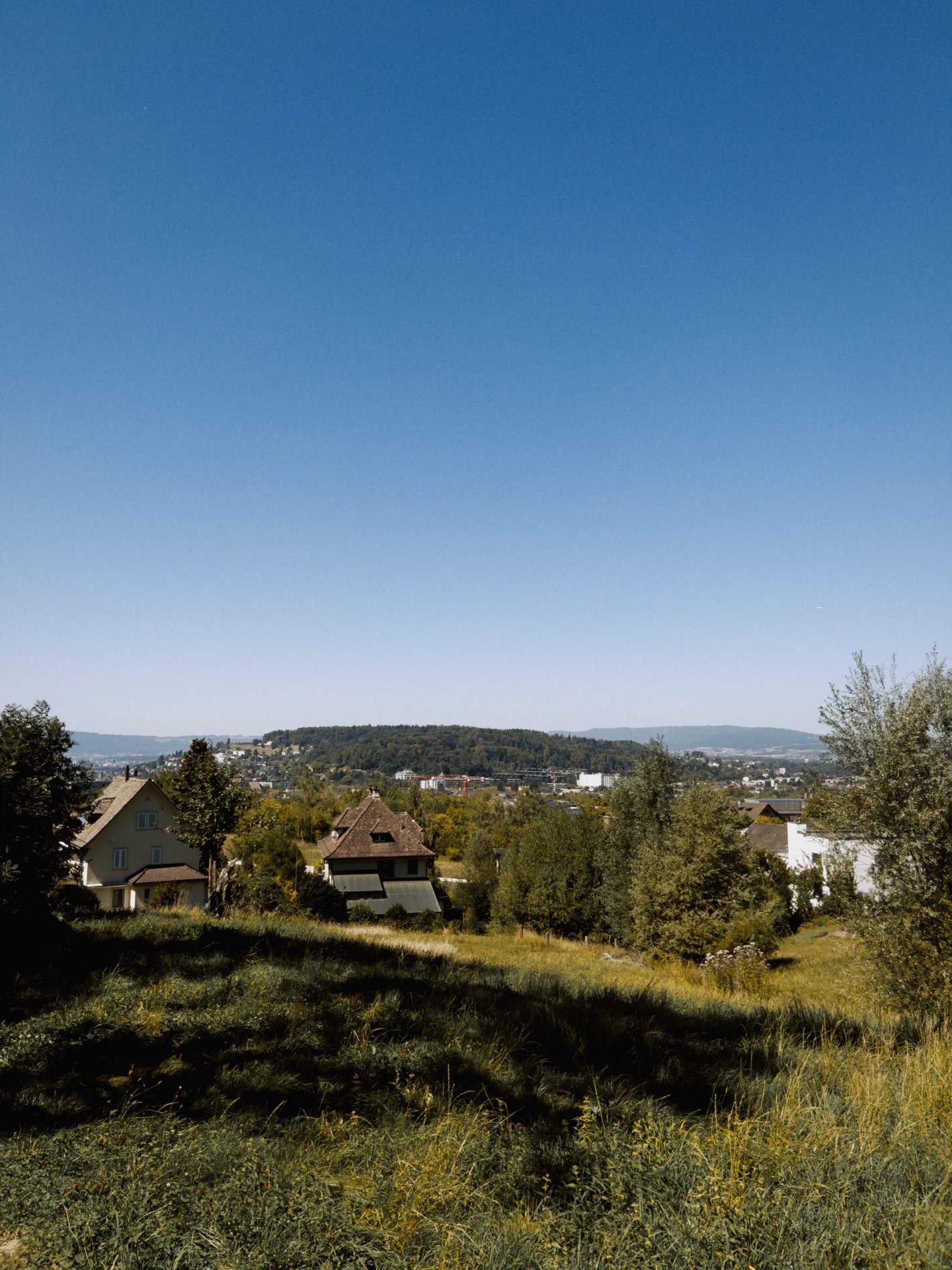 A hillside above a town in Switzerland, rendered with the Yosemite Vibe — film emulation on.